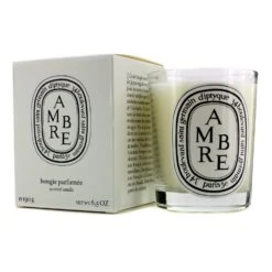Diptyque Scented Candle - Ambre (Amber) 190g/6.5oz