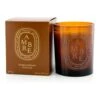 Diptyque Scented Candle - Ambre (Amber) 300g/10.2oz
