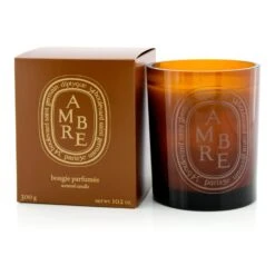 Diptyque Scented Candle - Ambre (Amber) 300g/10.2oz