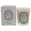 Diptyque Benjoin Scented Candle By Diptyque For Unisex - 6.5 Oz Candle